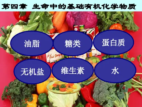 人教版高中选修化学油脂PPT课件