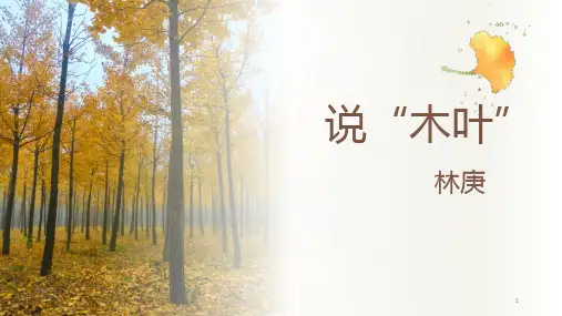 9 《说“木叶”》课件33张 统编版高中语文必修下册