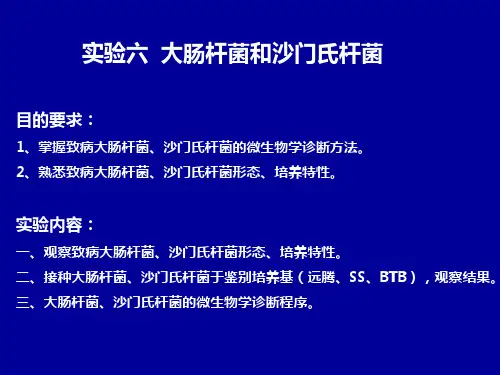 实验六大肠杆菌和沙门氏杆菌报告
