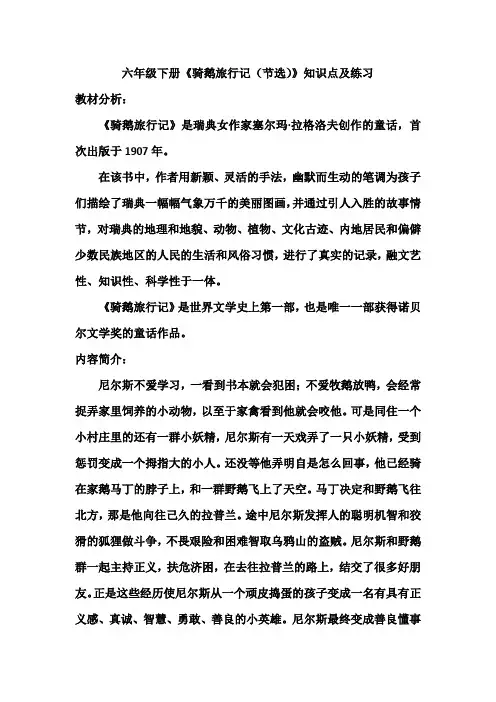 六年级下册《骑鹅旅行记(节选)》知识点及练习
