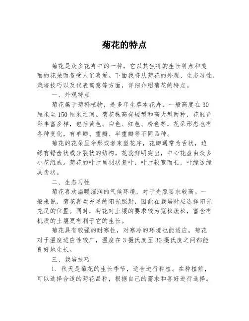 菊花的特点
