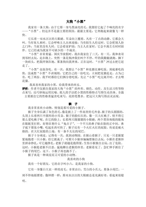 我喜欢的动物
