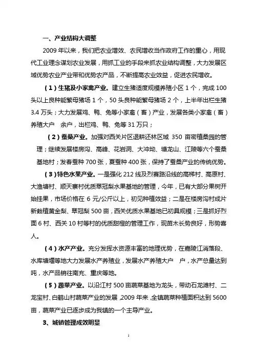 政府工作总结(09年上半年)