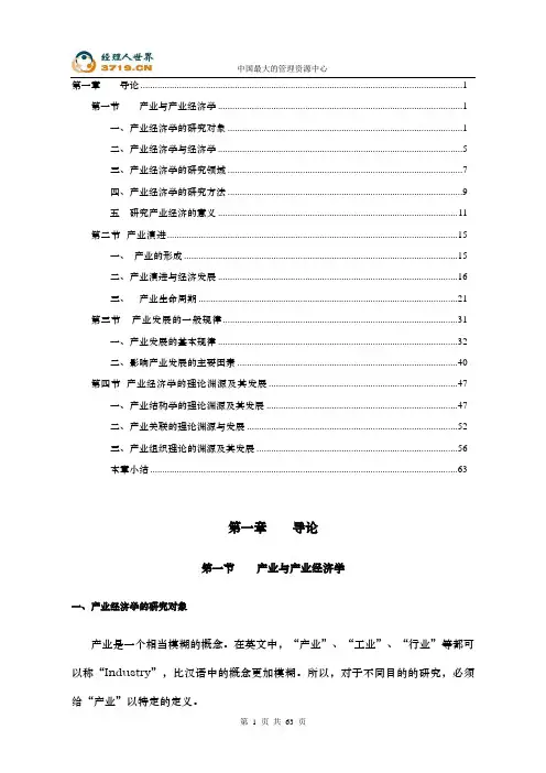 产业与产业经济学(doc 41)