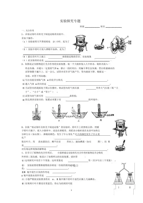 实验探究专题