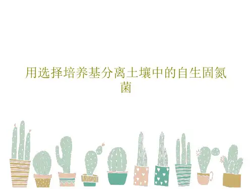 用选择培养基分离土壤中的自生固氮菌51页PPT