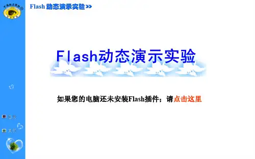 实验10观察蝗虫精母细胞减数分裂固定装片知识讲解