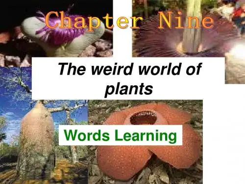 Chapter 9 vocabulary 课件(牛津深圳版九年级全册)