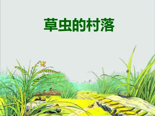 人教部编版语文《草虫的村落》精美课件同课异构免费下载