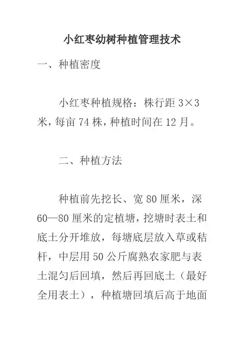 小红枣幼树种植管理技术。6
