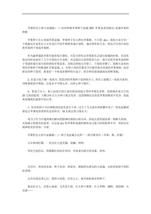 苹果籽怎么种小盆栽