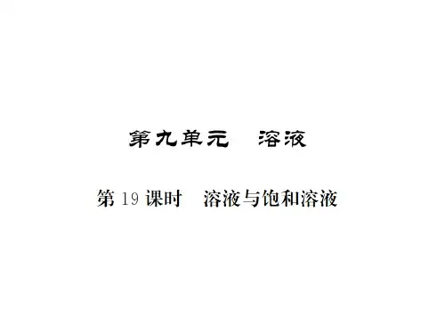 中考化学一轮复习 夯实基础 第9单元 第19课时 溶液与饱和溶液课件 新人教版