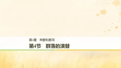 高中生物第4章种群和群落4.4群落的演替课件新人教版必修3