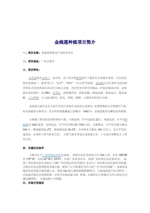 金线莲种植项目