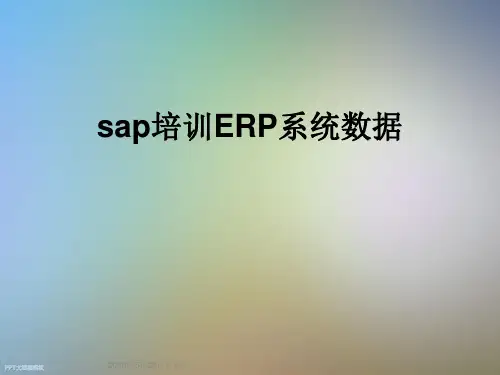 sap培训ERP系统数据