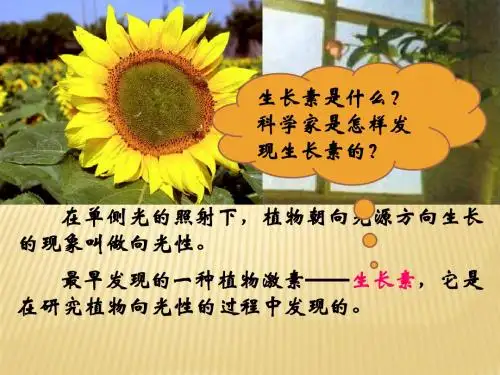 3.1 植物生长素的发现
