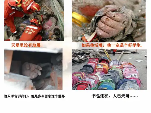 鲁教版七年级政治上册课件《-生命属于我们只有一次》