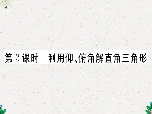 第2课时 利用仰、俯角解直角三角形