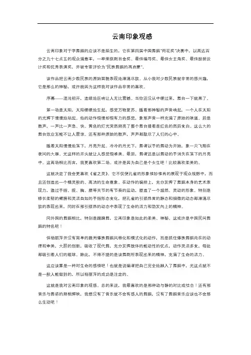云南印象观感