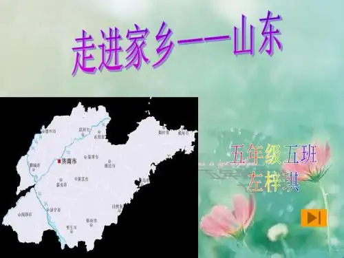 走进山东