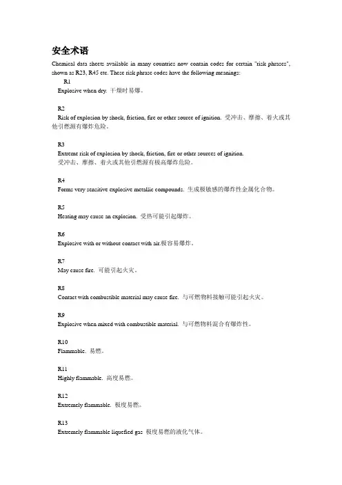 风险术语 安全术语