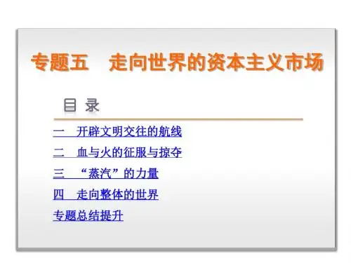【学练考】2015 2016新高考人民版历史必修二 专题五 走向世界的资本主义市场