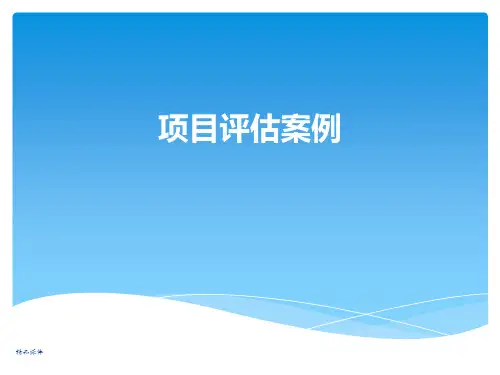 投资项目评估案例-港珠澳大桥
