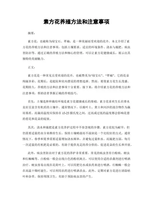 素方花养殖方法和注意事项