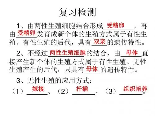 昆虫的生殖和发育