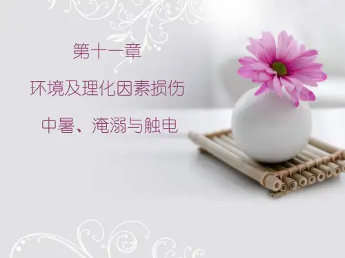 10.中暑_淹溺与触电5