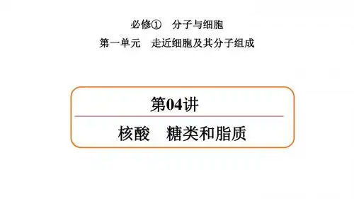 2018版高考(全国)生物大一轮复习核酸 糖类和脂质