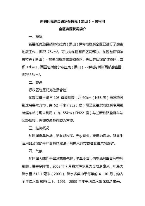 新新疆托克逊黑山矿区地质情况简介