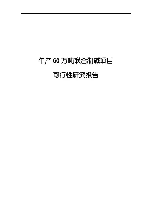 年产60万吨联合制碱项目可行性研究报告