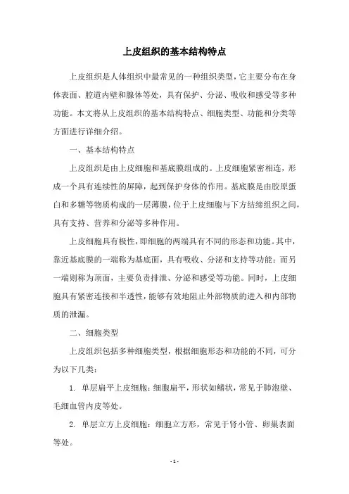 上皮组织的基本结构特点