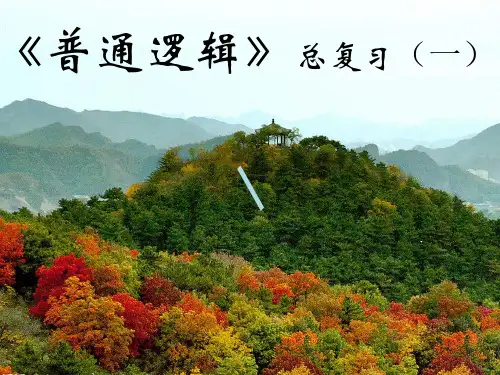 逻辑学总复习1