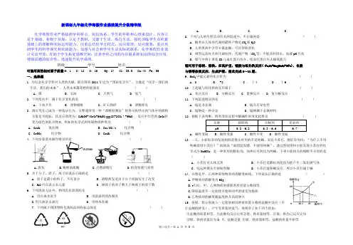 新课标九年级化学寒假作业强效提升分数精华版 (31)
