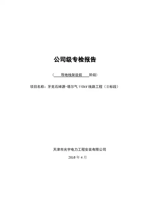 公司专检报告