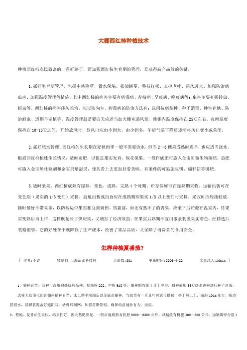 大棚西红柿种植技术