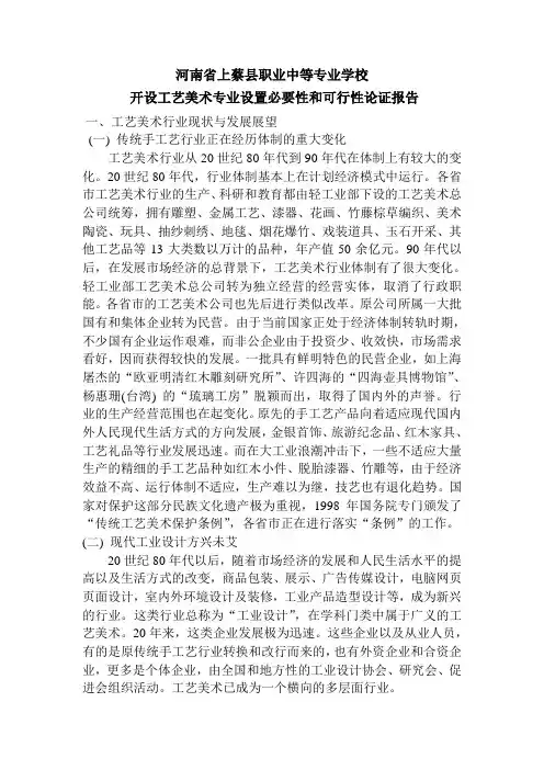 专业可行性报告