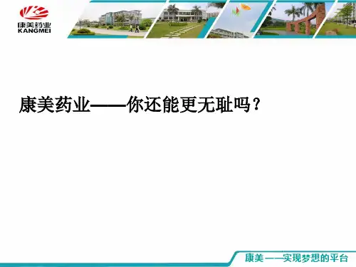 康美药业审计案例分析