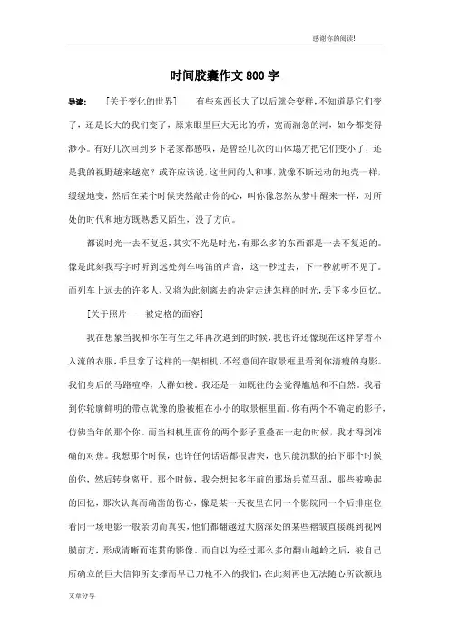 时间胶囊作文800字