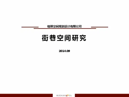 街巷空间及案例专题研究精品