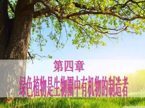 绿叶在光下制造有机物