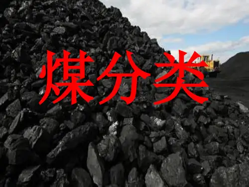 煤分类