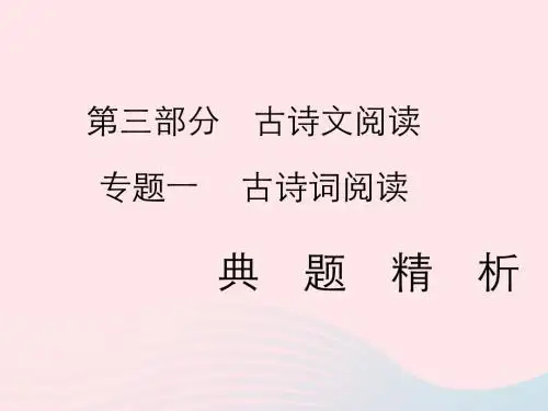2019年中考语文复习第三部分古诗文阅读专题一古诗词阅读习题课件