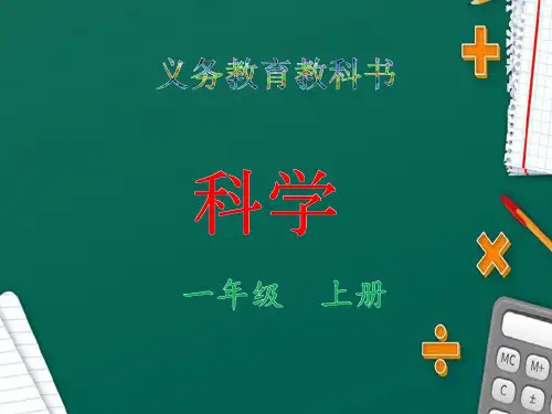 教科版【一年级】上册科学比较测量纸带和尺子课件PPT