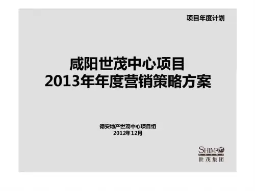 咸阳项目营销策略提案