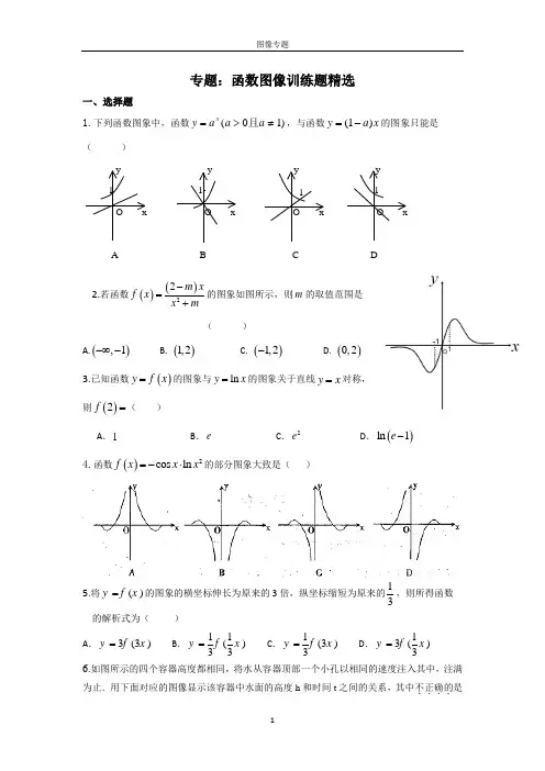 专题：函数图像精选训练题(有答案)