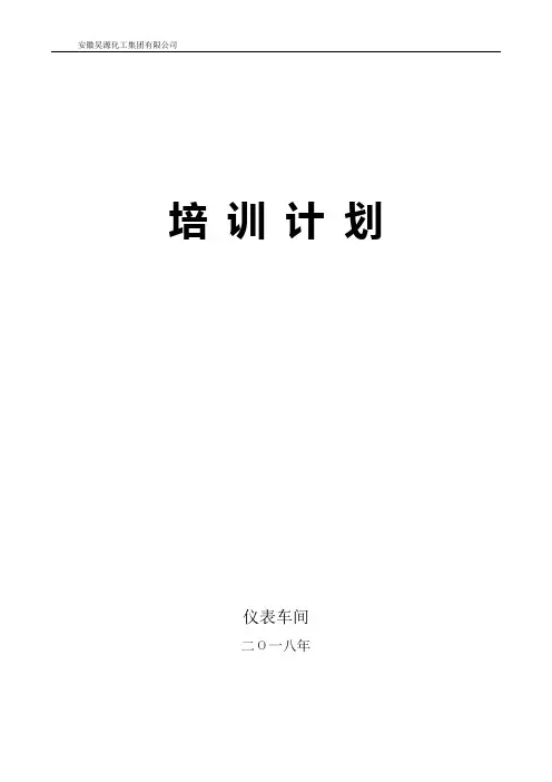 仪表员工培训计划2018