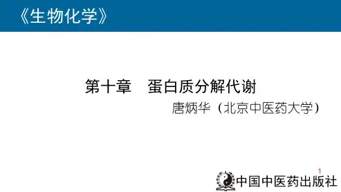 蛋白质的分解代谢PPT课件